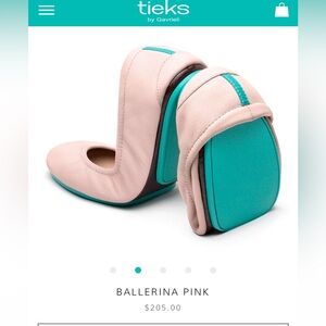 Tieks Ballerina Pink and Teal Flats